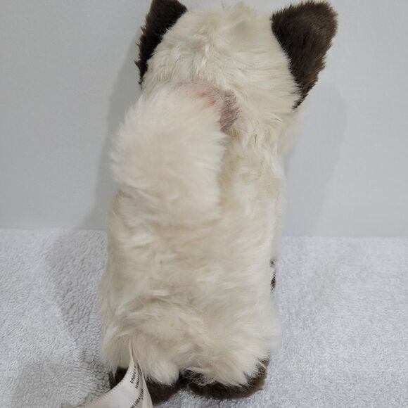 2014 AMERICAN GIRL Doll Kitty Cat Pet RASCAL Himalayan Siamese Kitten Marisol - Picture 4 of 6